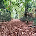 Confortable 4 Etoiles Avec Parking A Seulement 150m Des Thermes De Апартаменты Бэн-ле-Бэн