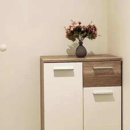 Appartement Confort Et Standing A Bains-les-Bains