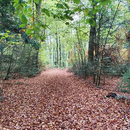 Confort Et Standing A Lejlighed Bains-les-Bains