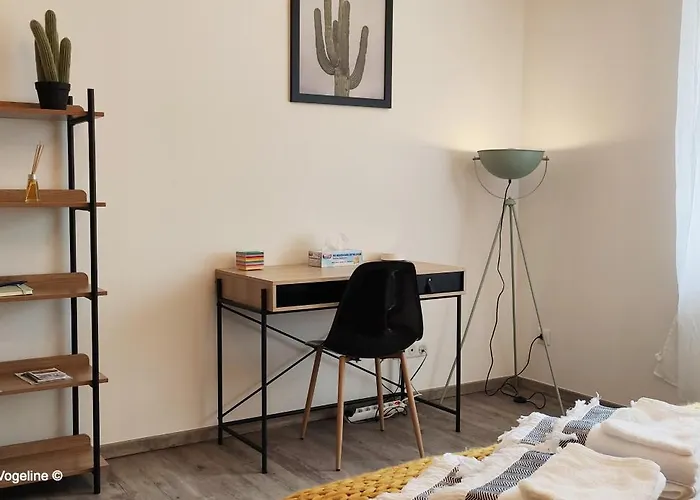 Confortable Appartement 4 Etoiles Avec Parking A Seulement 150M Des Thermes De Bains-Les-Bains * Bains-les-Bains